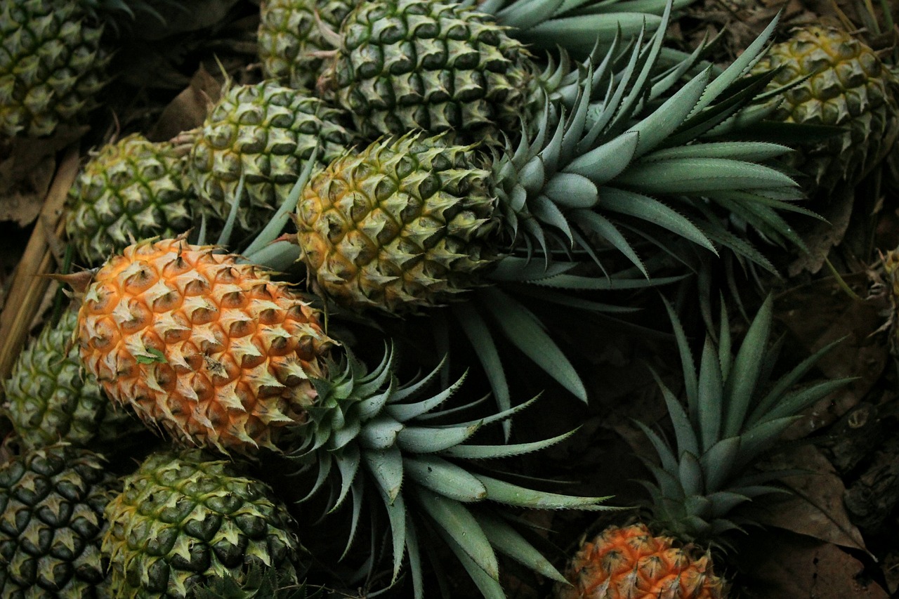 pineapple, fruit, food-3808963.jpg